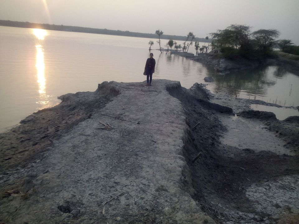 Photo of Man-Eaters of Sundarbans 5/13 by Brototi Roy