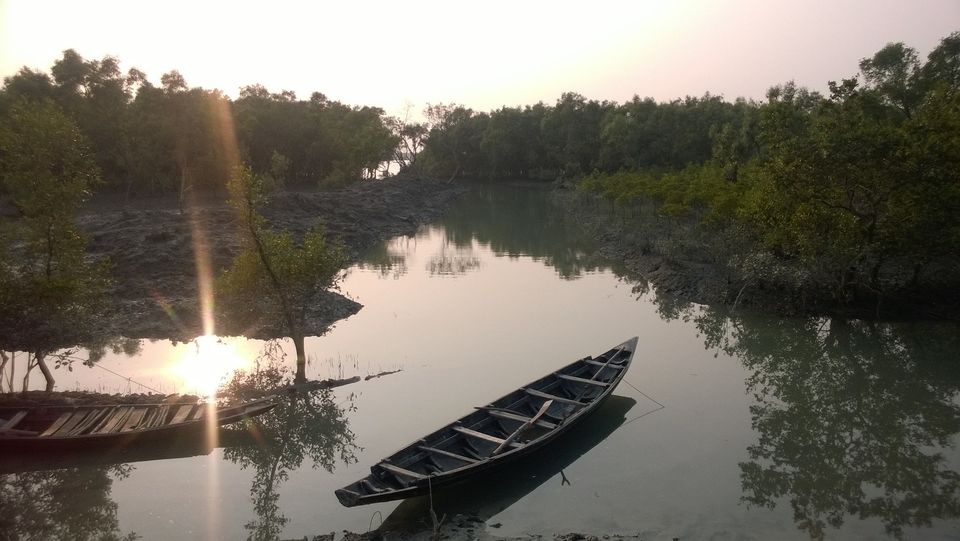 Photo of Man-Eaters of Sundarbans 9/13 by Brototi Roy