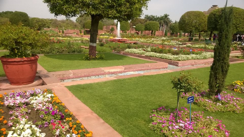 Photo of Sunday Afternoon at Mughal Gardens 1/8 by Brototi Roy