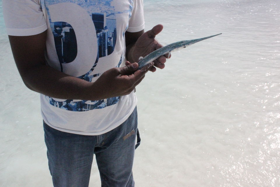 Photo of Maldives-Paradise on earth by Neesha Shaik