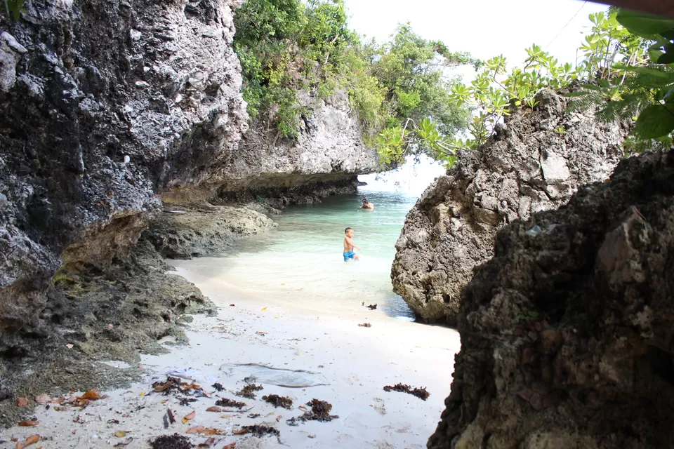 Photo of Marine Sanctuary, Dauin, Bohol, Philippines by Neesha Shaik