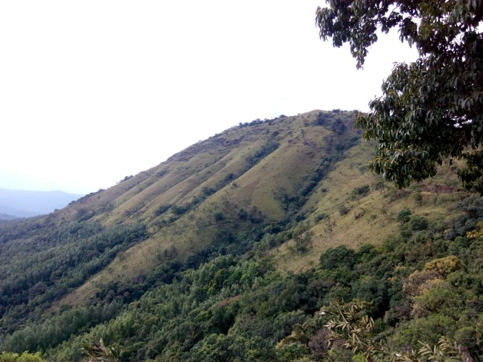 Photo of Mullayanagiri Peak, Mullayanagiri Peak, Pandaravalli, Karnataka 577130 by Bhargav Mg