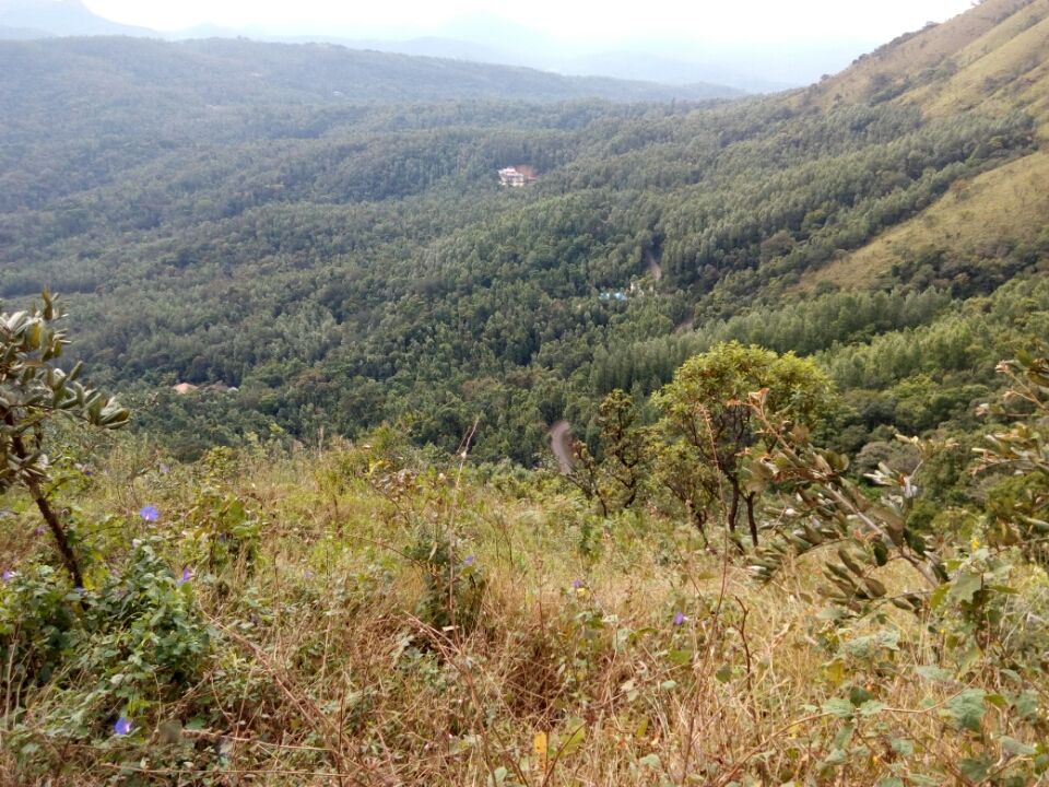 Photo of Mullayanagiri Peak, Mullayanagiri Peak, Pandaravalli, Karnataka 577130 by Bhargav Mg