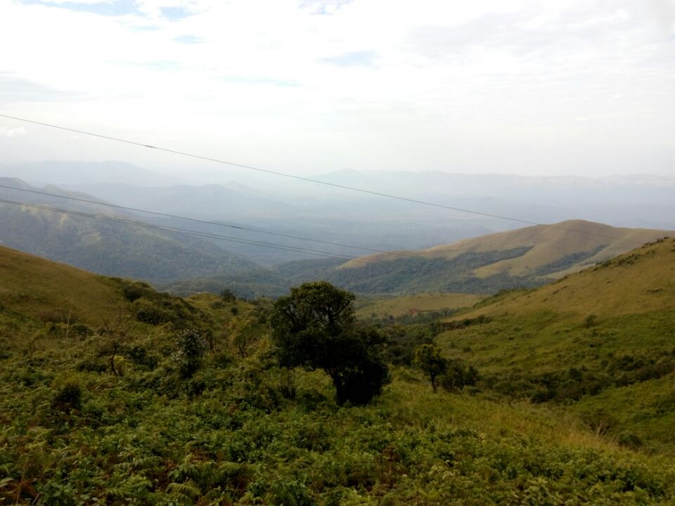 Photo of Mullayanagiri Peak, Mullayanagiri Peak, Pandaravalli, Karnataka 577130 by Bhargav Mg