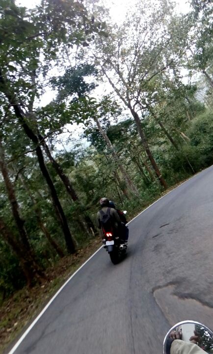 Photo of A must visit place for every biker - Mullayanagiri ( part two) by Bhargav Mg
