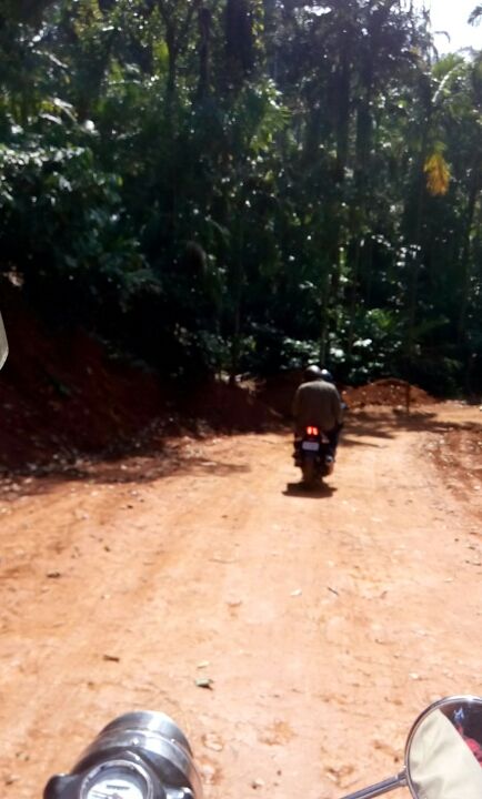 Photo of A must visit place for every biker - Mullayanagiri ( part two) by Bhargav Mg