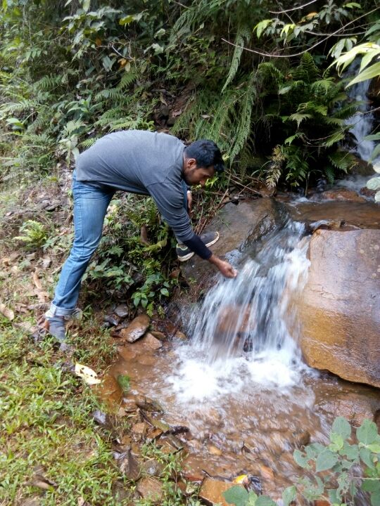 Photo of A must visit place for every biker - Mullayanagiri ( part two) by Bhargav Mg