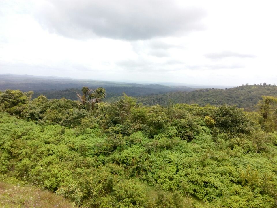 Photo of Bengaluru - Mangaluru Highway, Karnataka 573134, India by Bhargav Mg