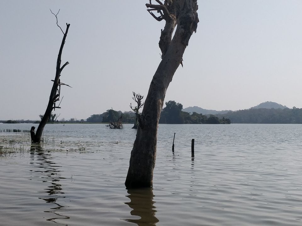 Photo of Sakrebyle Elephant Camp, Sakrebyle, Karnataka, India by Bhargav Mg