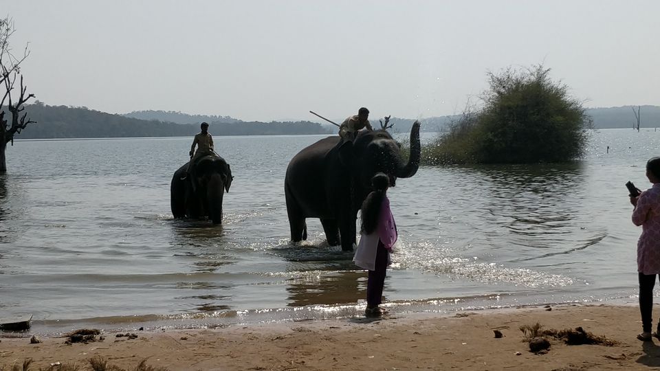 Photo of Sakrebyle Elephant Camp, Sakrebyle, Karnataka, India by Bhargav Mg