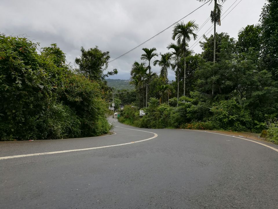 Photo of Why Wayanad is called a Green Paradise: Let's explore it from here! by Bedanta Hazarika