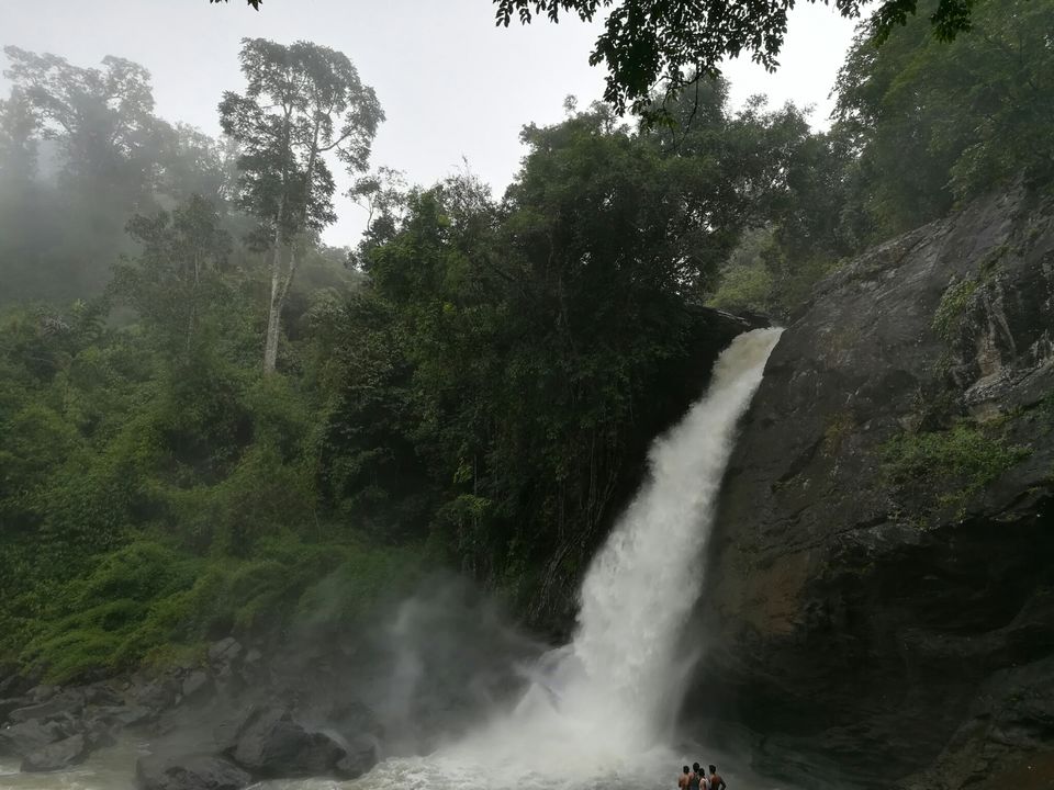 Photo of Why Wayanad is called a Green Paradise: Let's explore it from here! by Bedanta Hazarika