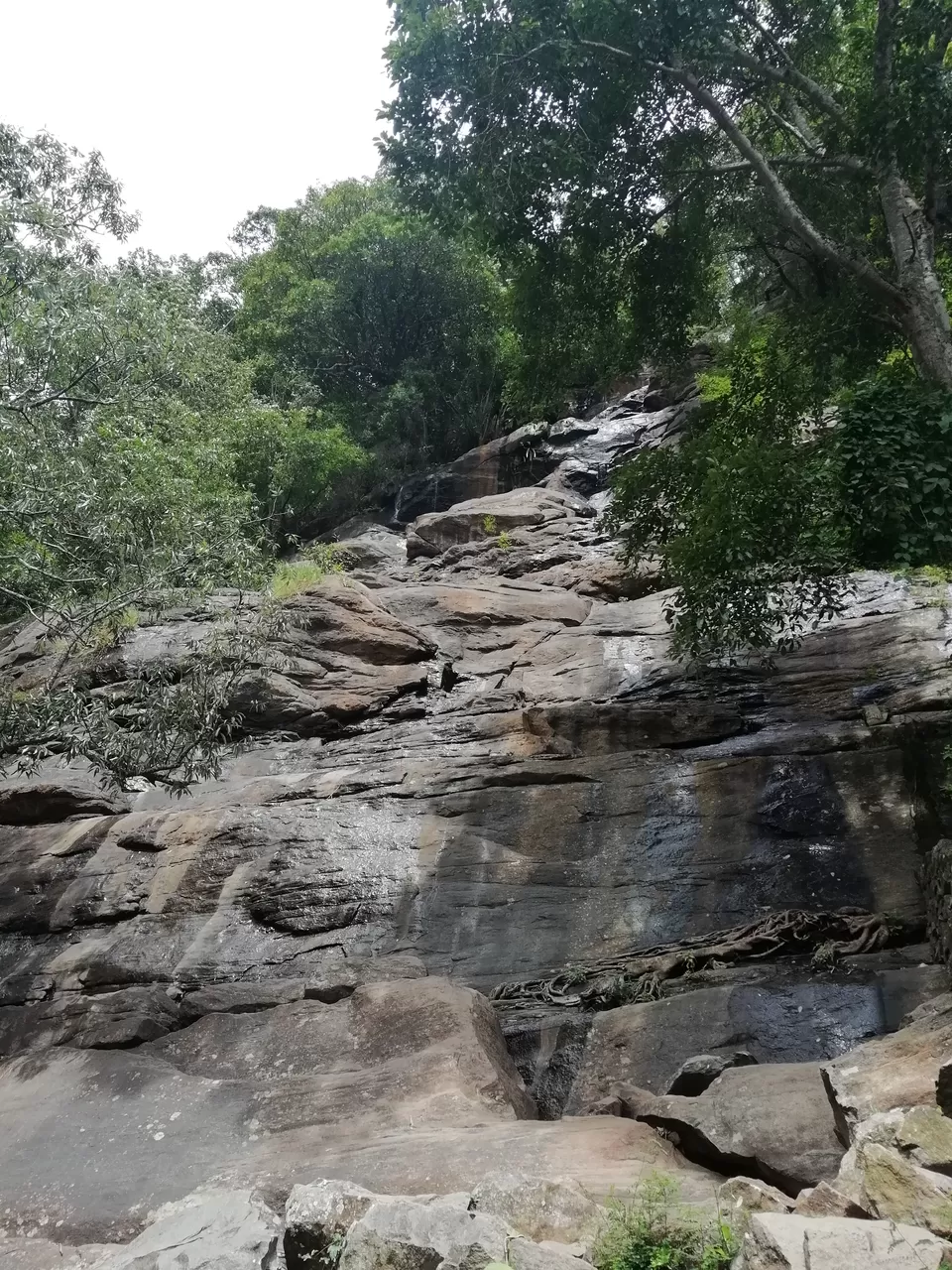 Photo of Kiliyur Falls, Killiyur Road, Pattipadi, Tamil Nadu, India by Bedanta