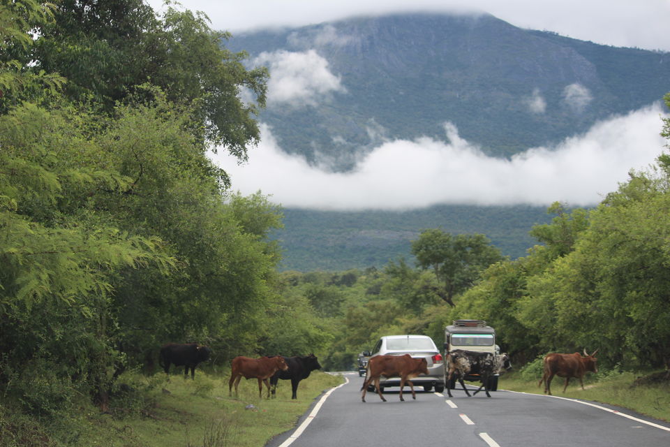 Photo of 3 States in 3 Days:The Ultimate Road tripping Hack! by Bedanta