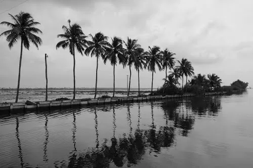 Photo of Alleppey, Kerala, India by Madhura