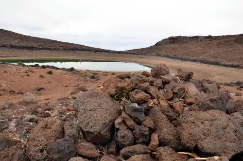 Photo of Lake Waiau, Hawaii, United States by Michele Bigley