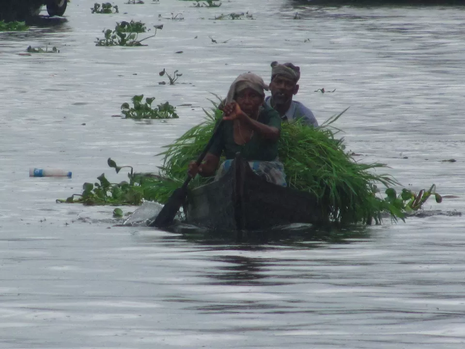 Photo of Alleppey, Kerala, India by Madhura