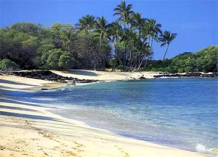 Photo of Kohala Coast Crane, Hilo, Hawaii, United States by Michele Bigley