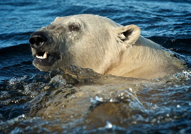 Photo of Churchill, Manitoba, Canada by Pamela Macnaughtan