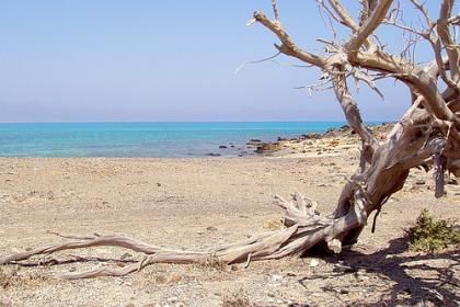 Photo of Beautiful and balmy Chryssi Island, Crete 1/3 by Madhura