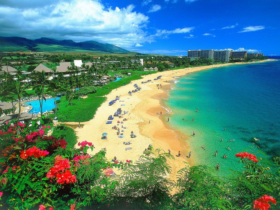Photo of A Hawaiian Road Trip! 2/9 by Michele Bigley