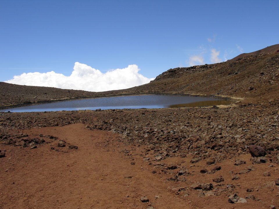 Photo of A Hawaiian Road Trip! 6/9 by Michele Bigley