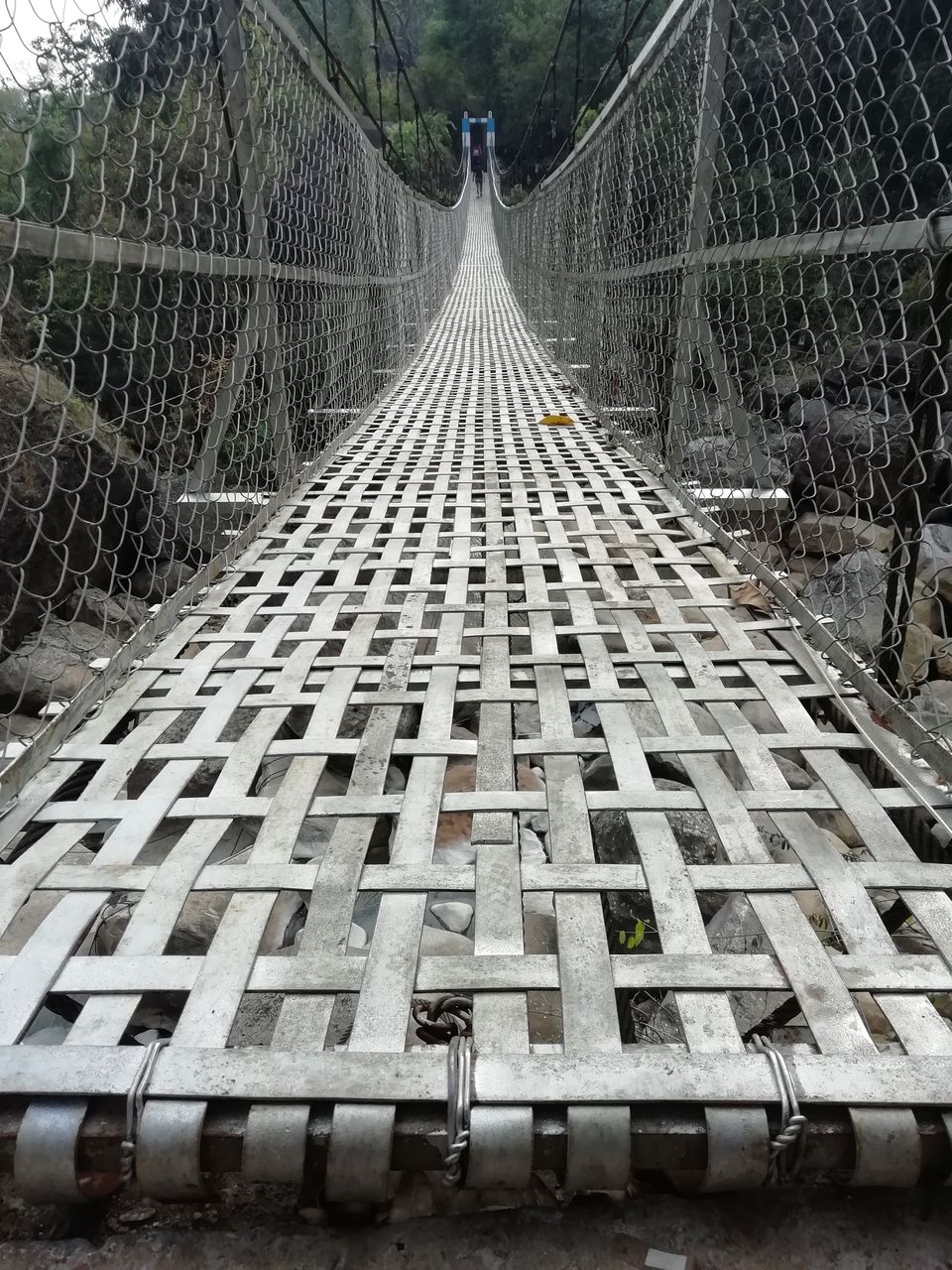 Photo of Double Decker Living Root Bridge, Cherrapunjee, Meghalaya, India by Sanjay Porwal
