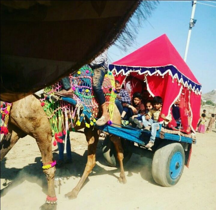 Photo of Traveling during the 500 Rs & 1000 Rs ban: Trip to Jaipur, Ajmer and Pushkar by Pranjal Tiwari