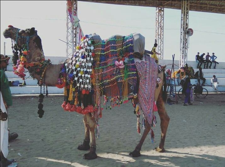 Photo of Traveling during the 500 Rs & 1000 Rs ban: Trip to Jaipur, Ajmer and Pushkar by Pranjal Tiwari