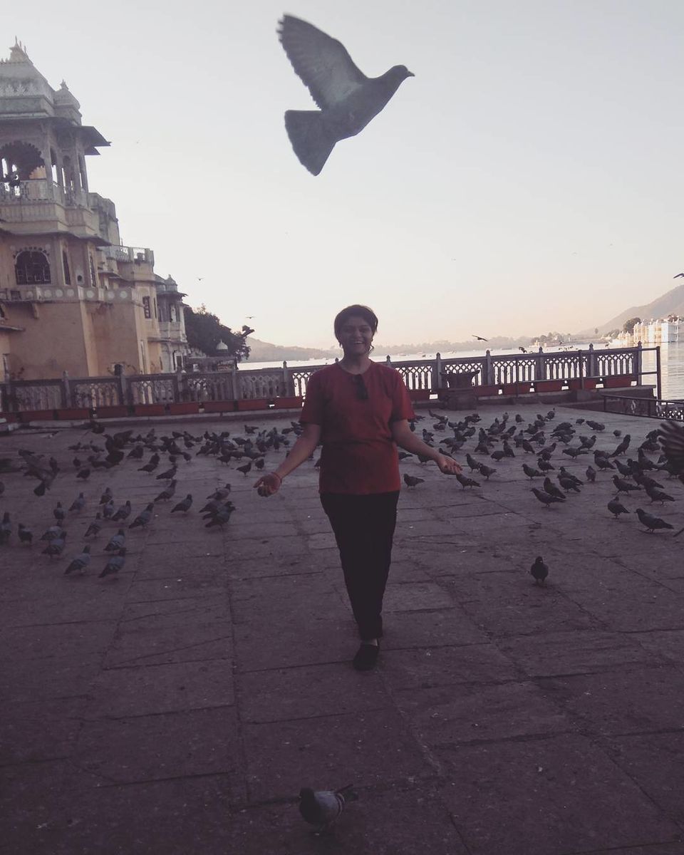 Photo of Head to Rajasthan for your next girls trip :) 15/15 by Pranjal Tiwari