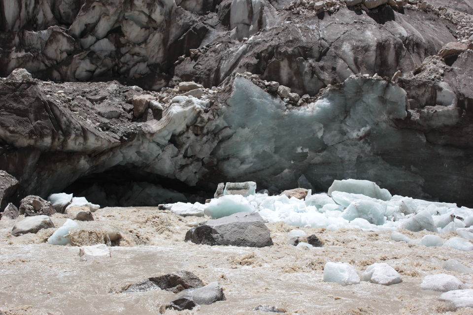 Photo of Gangotri National Park, Uttarkashi, Uttarakhand, India by Vipin Negi