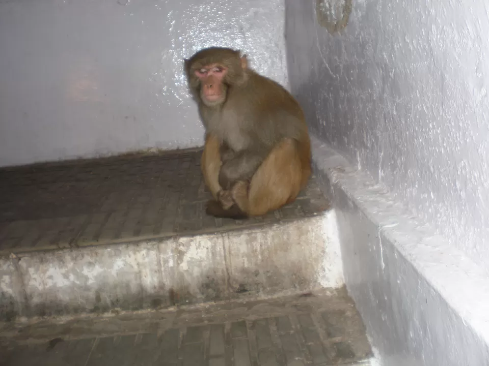 Photo of Vaishno Devi, Bhavan, Dhar Vaishno Devi by rakesh giri goswami