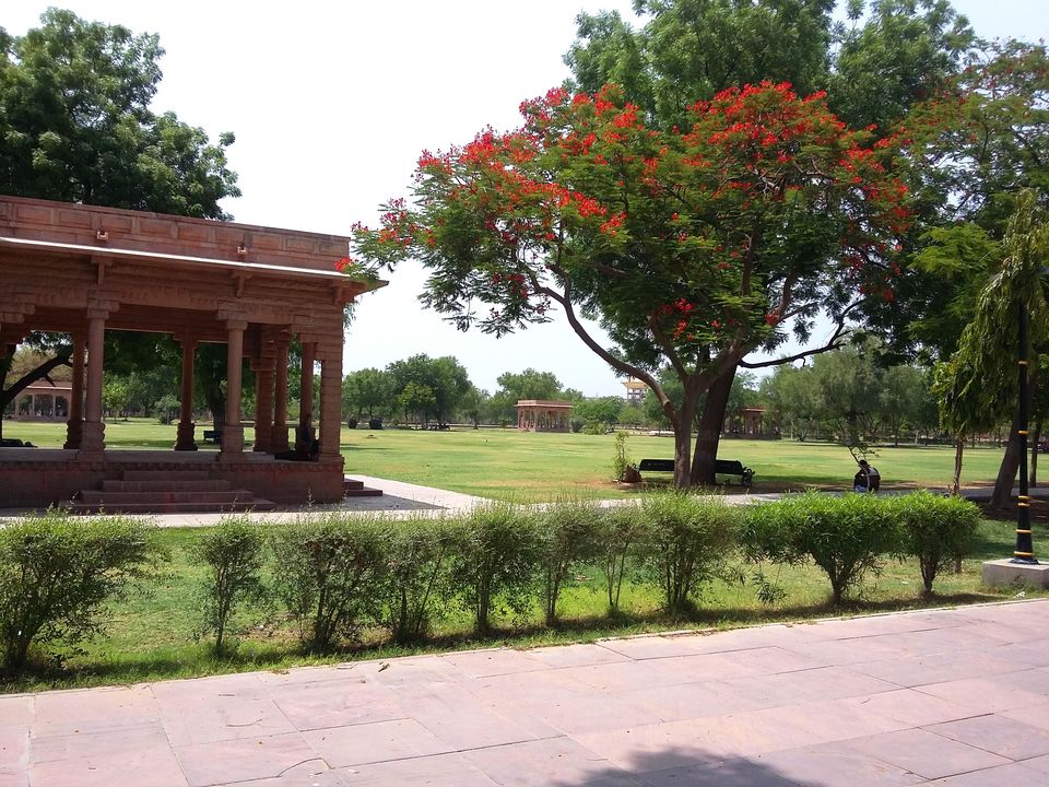 Photo of Samrat Ashok Udyan- Pride Of Jodhpur 10/15 by rakesh giri goswami