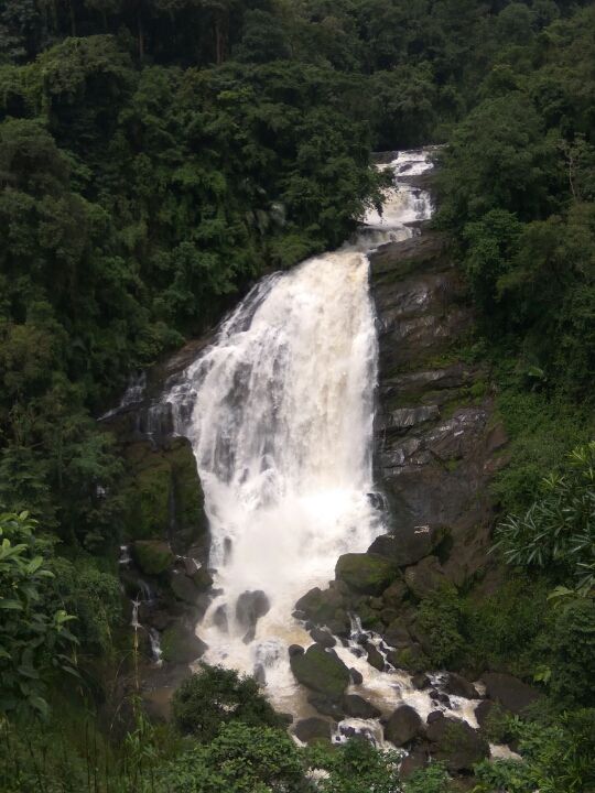 Photo of Idukki by Kirti Kumar Maheshwari