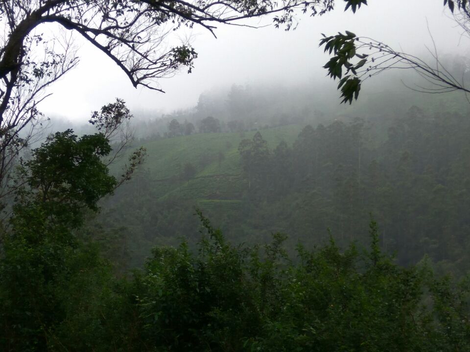Photo of Idukki by Kirti Kumar Maheshwari