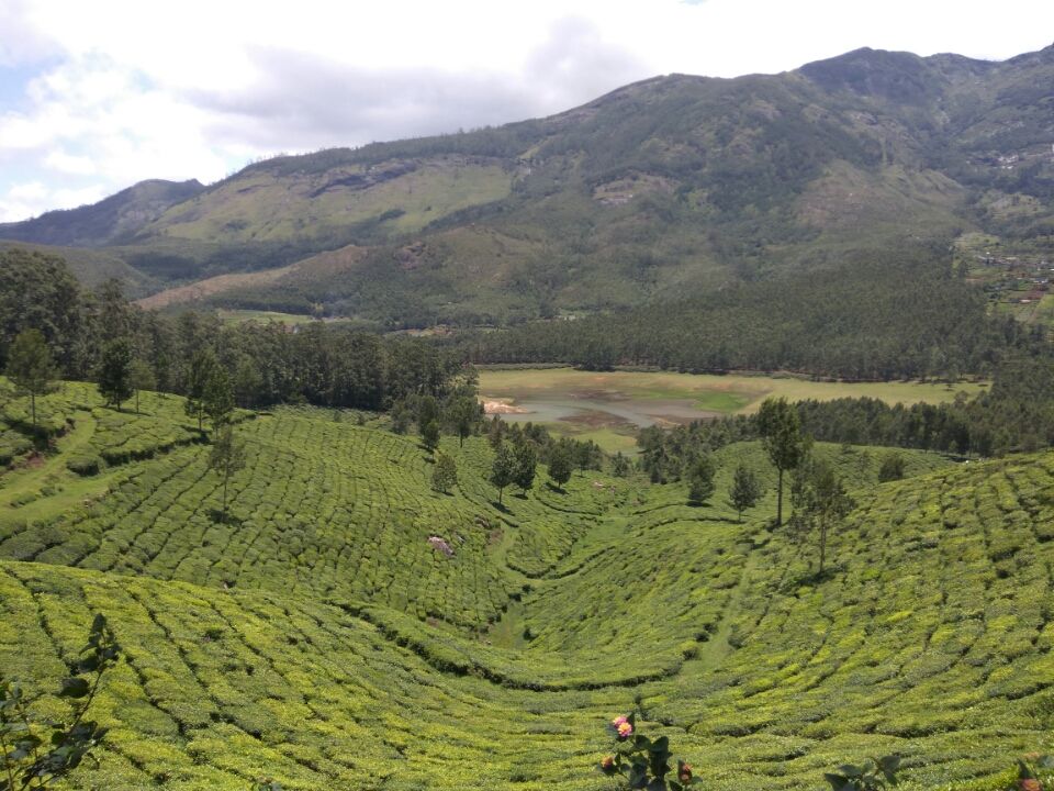 Photo of Idukki by Kirti Kumar Maheshwari