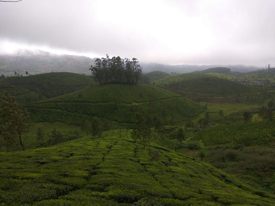 Photo of Idukki by Kirti Kumar Maheshwari