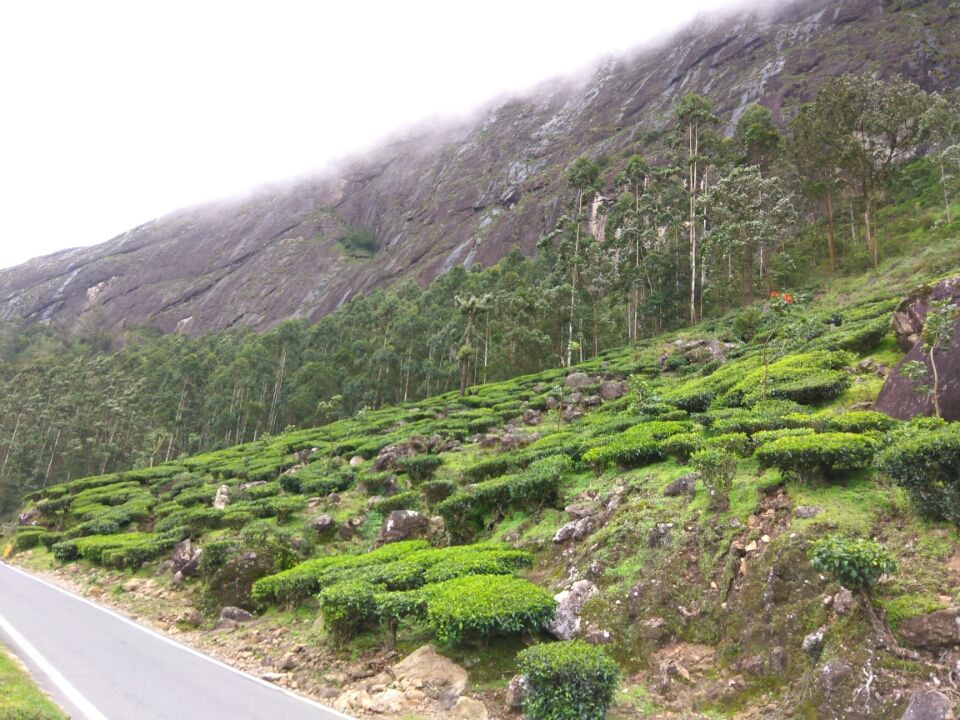 Photo of Idukki by Kirti Kumar Maheshwari