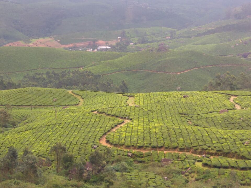 Photo of Idukki by Kirti Kumar Maheshwari