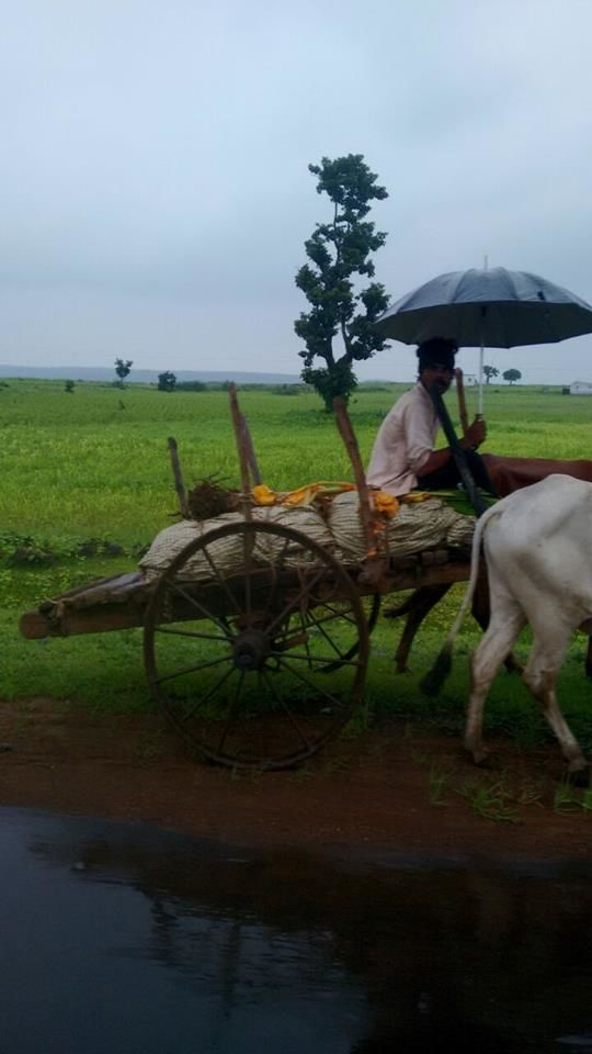 Photo of A Ride + Trekking in the Fog (Nagpur - Patalkot - Nagpur) by Mohan Bangde