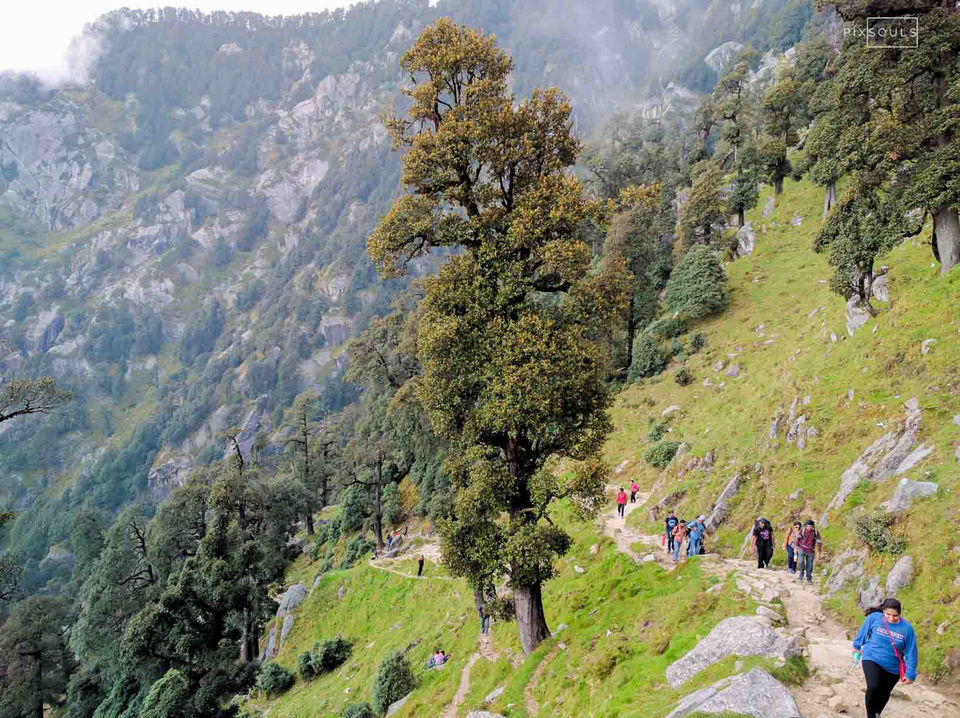 Photo of Terrific Triund | Gateway of the Golden Sunset and Shiny night by PixSouls