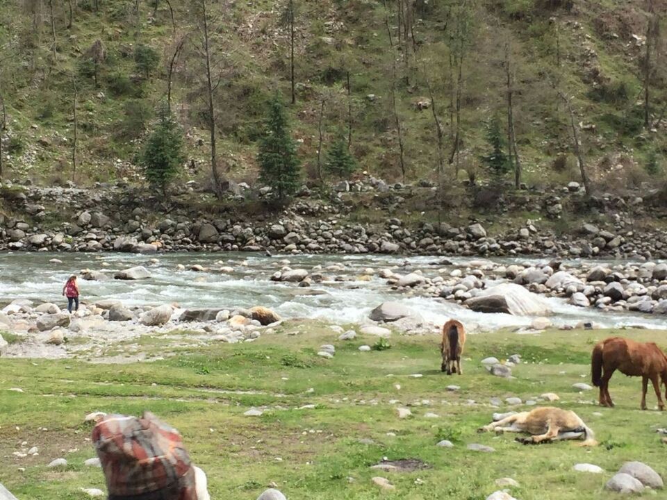 Photo of Himachal:- Friends, valley and trippy... by Debesh Jha