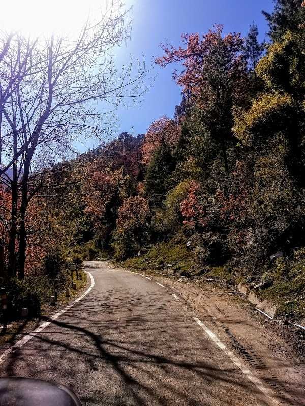 Photo of Auli Laga Joshimath, Uttarakhand, India by Nirzher Agarwal
