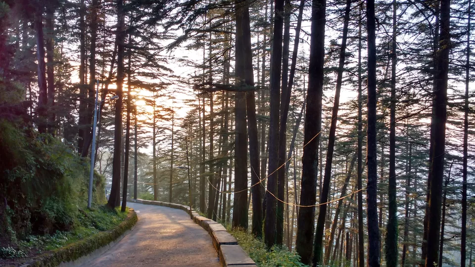 Photo of My First Solo Trip: The journey to Welsh Town (Landour) by Nancy Johri