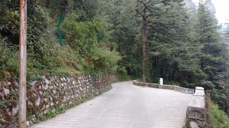 Photo of My First Solo Trip: The journey to Welsh Town (Landour) by Nancy Johri