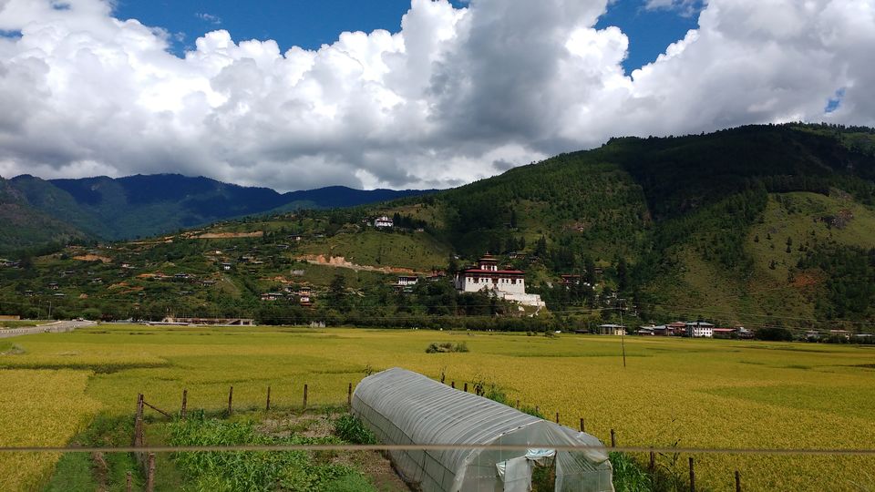 Photo of Untouched Bhutan- Land of the Thunder Dragon (Photo Blog) 23/50 by Nancy Johri