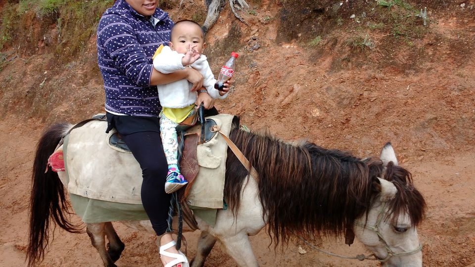Photo of Untouched Bhutan- Land of the Thunder Dragon (Photo Blog) 28/50 by Nancy Johri