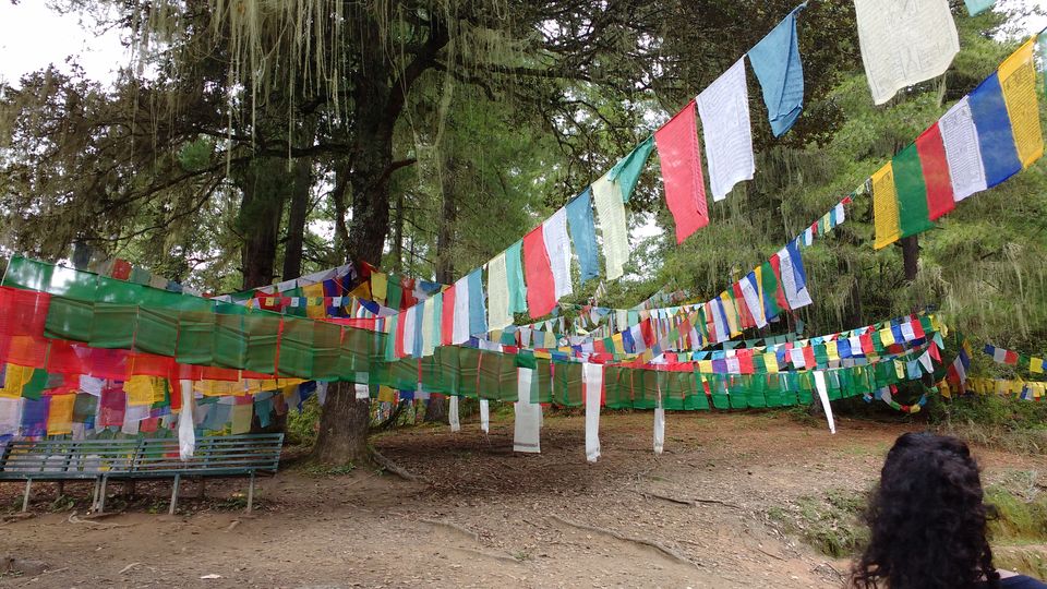 Photo of Untouched Bhutan- Land of the Thunder Dragon (Photo Blog) 33/50 by Nancy Johri