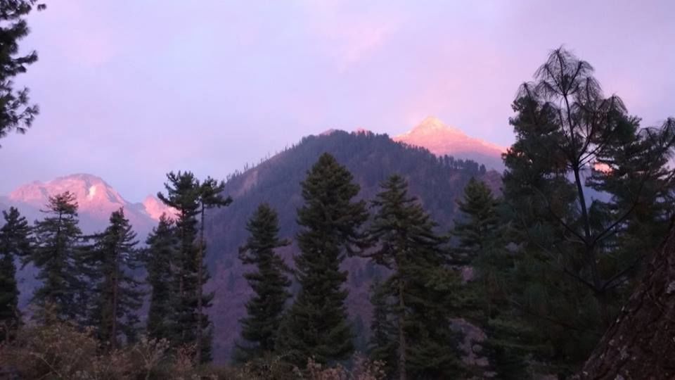 Photo of Tosh Valley Trek: A walk to remember 8/8 by Nancy Johri