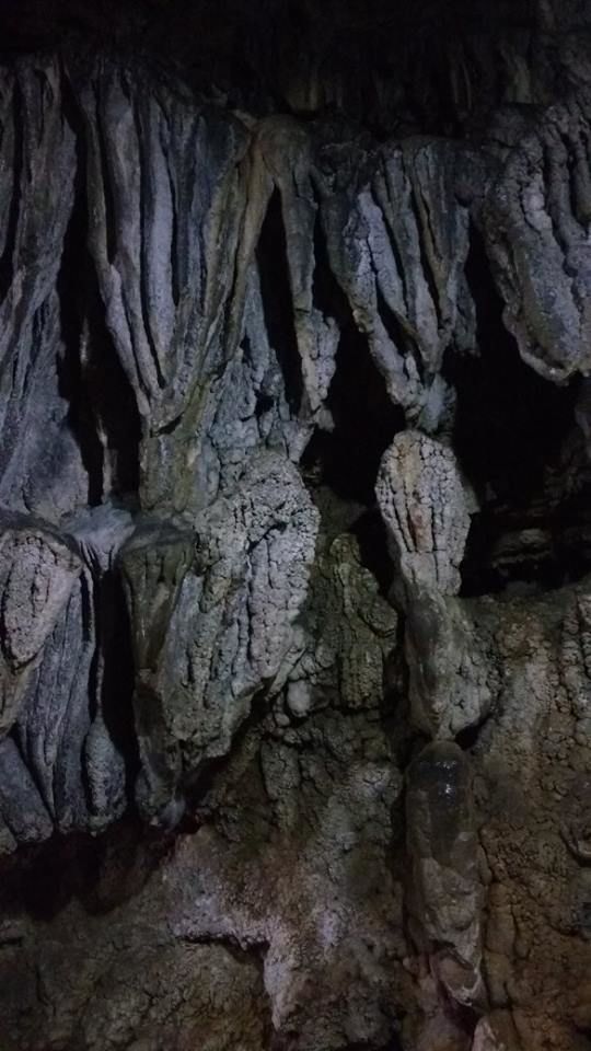 Photo of Know how I experienced the best of Meghalaya in just 3 days 11/42 by Nancy Johri